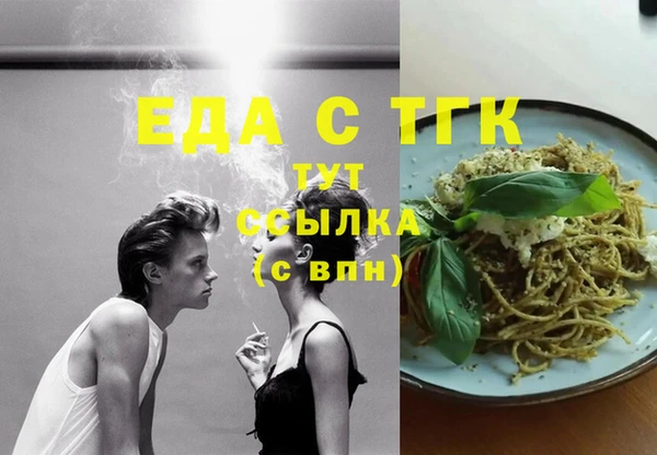 тгк Ельня